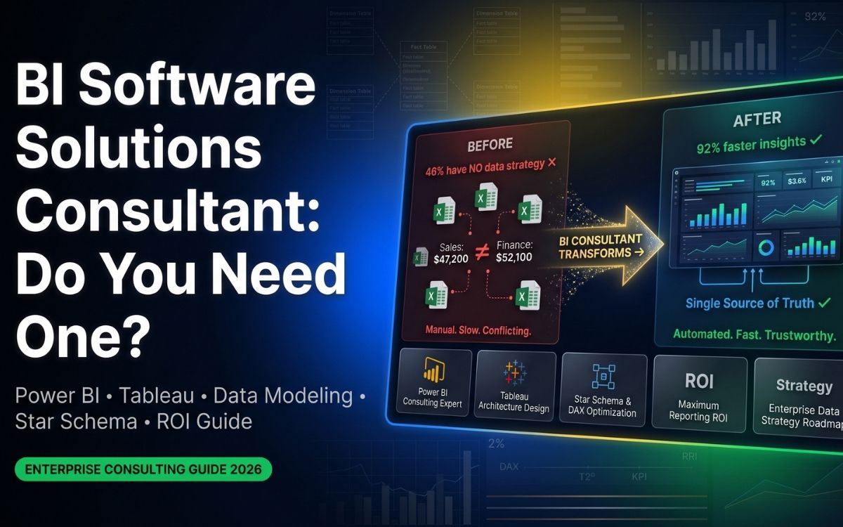 BI Software Solutions Consultant: Do You Need One?