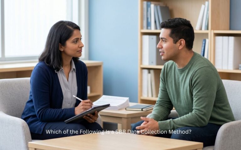Which of the Following Is a SBR Data Collection Method?